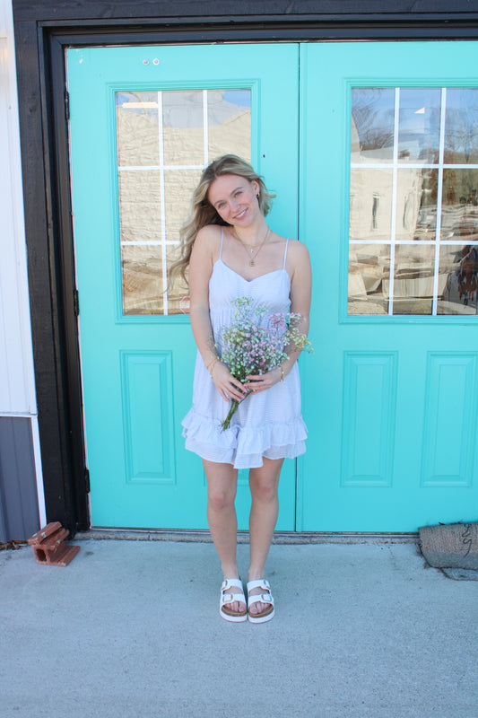 Lavender Gingham Dress