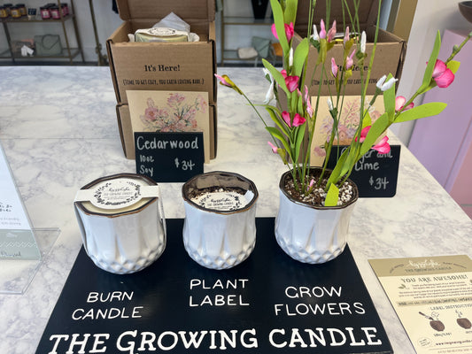 The growing candle - Ella Chic Boutique